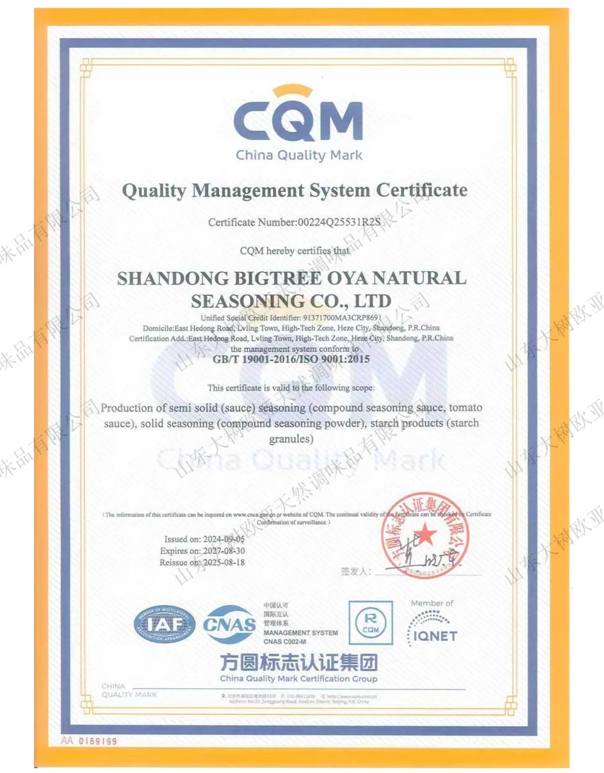ISO 9001 — Shandong Bigtree Oya Natural Seasoning Co., Ltd.